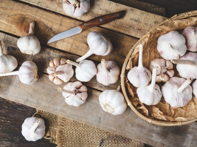 Kandungan aktif bawang putih